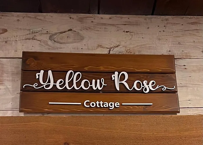 Yellow Rose Ft Worth Arlington *